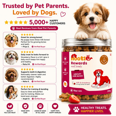 Nootie Rewards Calcium Milk Bones Dog Treats – Milk & Strawberry Flavour | Crunchy Training & Reward Biscuits | Fiber-Rich, Vet Formulated Dog Treats for Dental Health, Strong Bones & Healthy Digestion | 220g