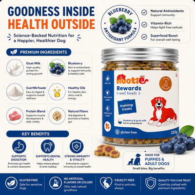 Nootie Rewards Training Treats for Dogs – Blueberry & Goat Milk Flavour | Gluten-Free Crunchy Dog Treats | Antioxidant-Rich, Fiber-Rich, Vet Formulated Reward Treats for Dental Health & Healthy Digestion | 220g