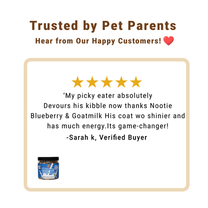 Nootie Gluten-Free Training Treats for Dogs – Blueberry & Goat Milk Flavour (220g) | Healthy Reward for Oral, Gut & Immune Health