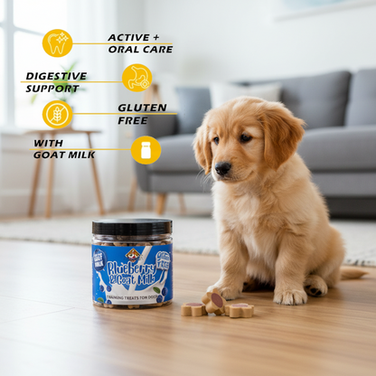 Nootie Gluten-Free Training Treats for Dogs – Blueberry & Goat Milk Flavour (220g) | Healthy Reward for Oral, Gut & Immune Health