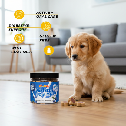 Nootie Gluten-Free Training Treats for Dogs – Blueberry & Goat Milk Flavour (220g) | Healthy Reward for Oral, Gut & Immune Health