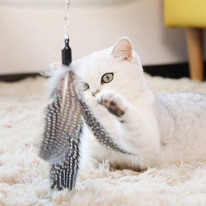 Nootie Interactive Cat Feather Stick Toy | Safe, Durable & Enriching Play for Kittens & Adult Cats | Stimulates Hunting Instincts | Colors May Vary