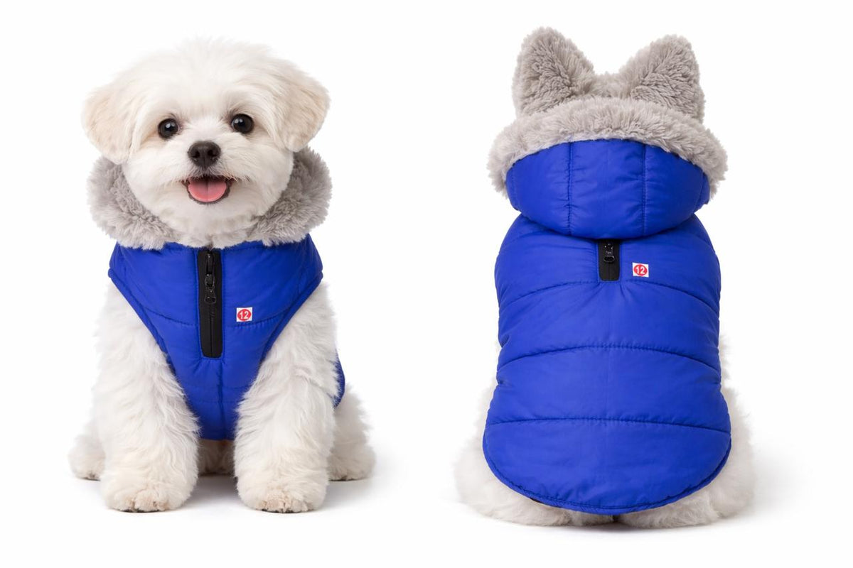 Nootie Dog Fur Collar Jacket -Stylish Winter Wear for All Breeds