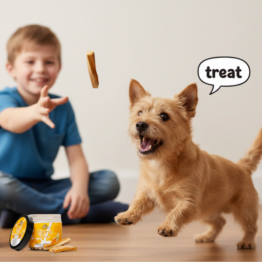 Nootie Gluten Free Dental Stix for Dogs, Treats for All Life Stages Made with Goat Milk - Carrot & Yam Flavour 220 Gm Box