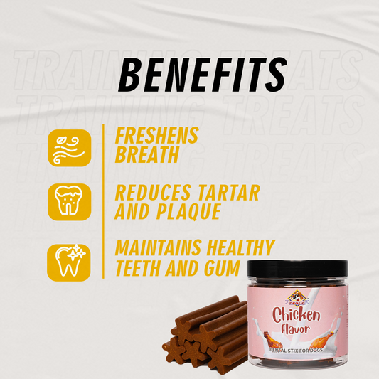 Nootie Gluten Free Dental Stix for Dogs,Treats for All Life Stages Chicken Flavour 220 Gm Box