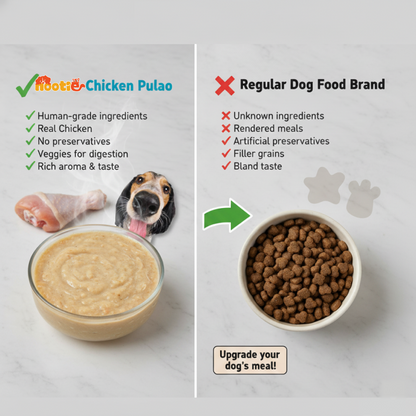 Nootie Chicken Pulao for Dogs – Human-Grade, Balanced Meal with Real Chicken, Rice & Veggies (300g)