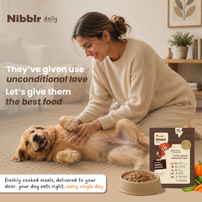 Nibblr Daily Power Feast for Dogs (300g) | Chicken, Sweet Potato & Rice