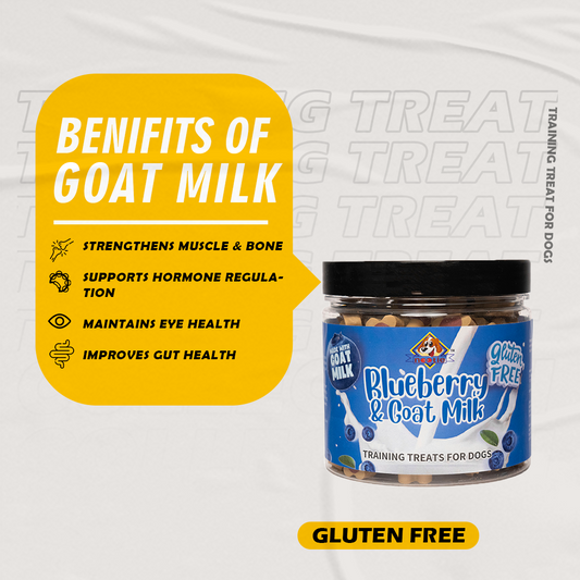 Nootie Gluten Free Training Treats for Dogs, Treats for All Life Stages Blueberry & Goat Milk Flavour 220 Gm Box