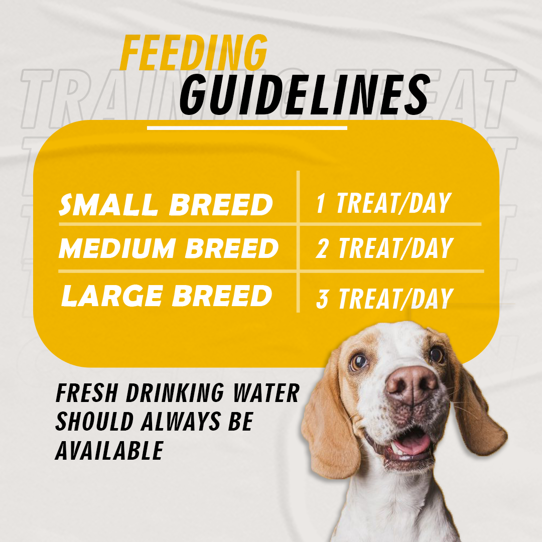 Nootie Gluten-Free Training Treats for Dogs – Pumpkin & Goat Milk Flavour (220g) | Dental Care, Digestion & Immune Support