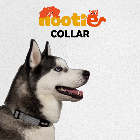 Nootie Plush Padded Collar Grey Color with Blue Detailing