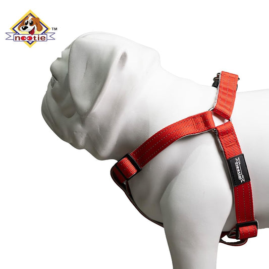 Nootie Premium Plush Padded Harness Red Color with Grey Detailing Size 20 mm - Medium