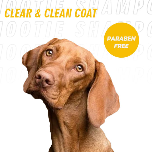 Nootie Pet Waterless Spray Shampoo for Dog & Cat with Goodness of Sheabutter and Tea Tree Oil - 150 Ml