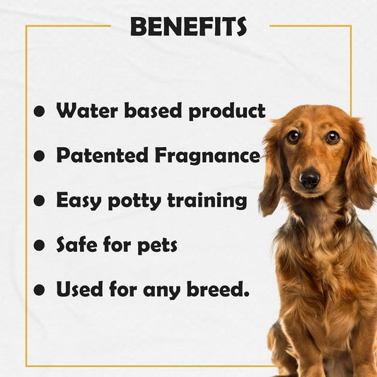 Nootie Puppy Training Spray with Jasmine Fragrance 250 Ml