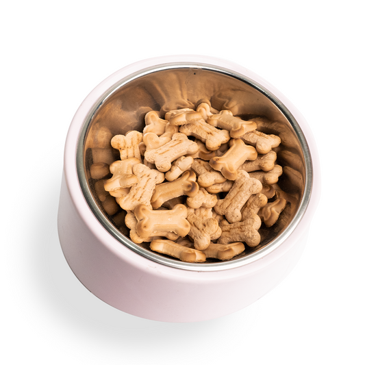 Nootie Chicken Biscuits with Peanut Butter Flavour for Puppies - 900 Gms (New & Improved)