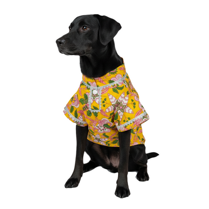 Nootie Floral Print Kurta – Yellow | Traditional Ethnic Outfit for Dogs