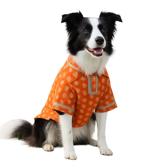 Nootie Printed Kurta – Orange | Traditional Ethnic Outfit for Dogs