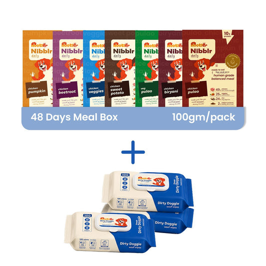 Monthly Pack - Nibblr Balance Bowl for Dogs (48 x 100gm) | Assorted Balance Bowl | 3 Packs of Wipes - nootie.in