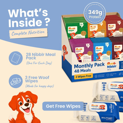 Monthly Pack - Nibblr Balance Bowl for Dogs (48 x 100gm) | Assorted Balance Bowl | 3 Packs of Wipes - nootie.in