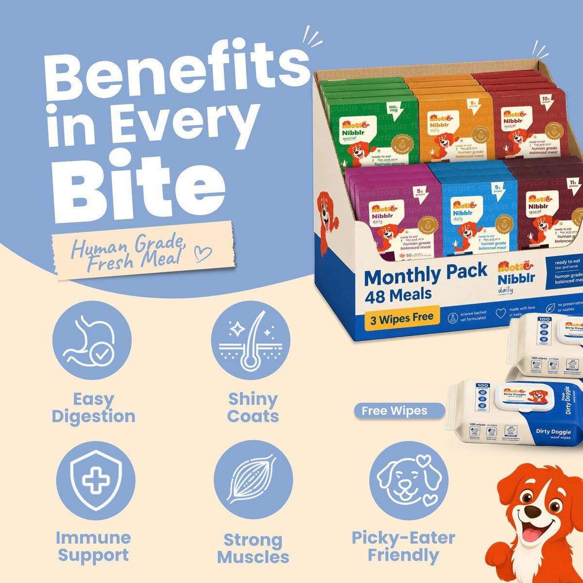 Monthly Pack - Nibblr Balance Bowl for Dogs (48 x 100gm) | Assorted Balance Bowl | 3 Packs of Wipes - nootie.in