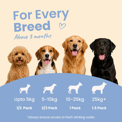 Monthly Pack - Nibblr Balance Bowl for Dogs (48 x 100gm) | Assorted Balance Bowl | 3 Packs of Wipes - nootie.in