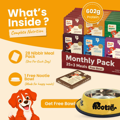 Monthly Pack - Nibblr Daily Power Feast for Dogs (25 x 300g) Free Yellow Bowl + 3 Extra Packs - nootie.in