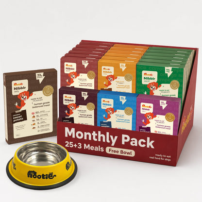 Monthly Pack - Nibblr Daily Power Feast for Dogs (25 x 300g) Free Yellow Bowl + 3 Extra Packs - nootie.in