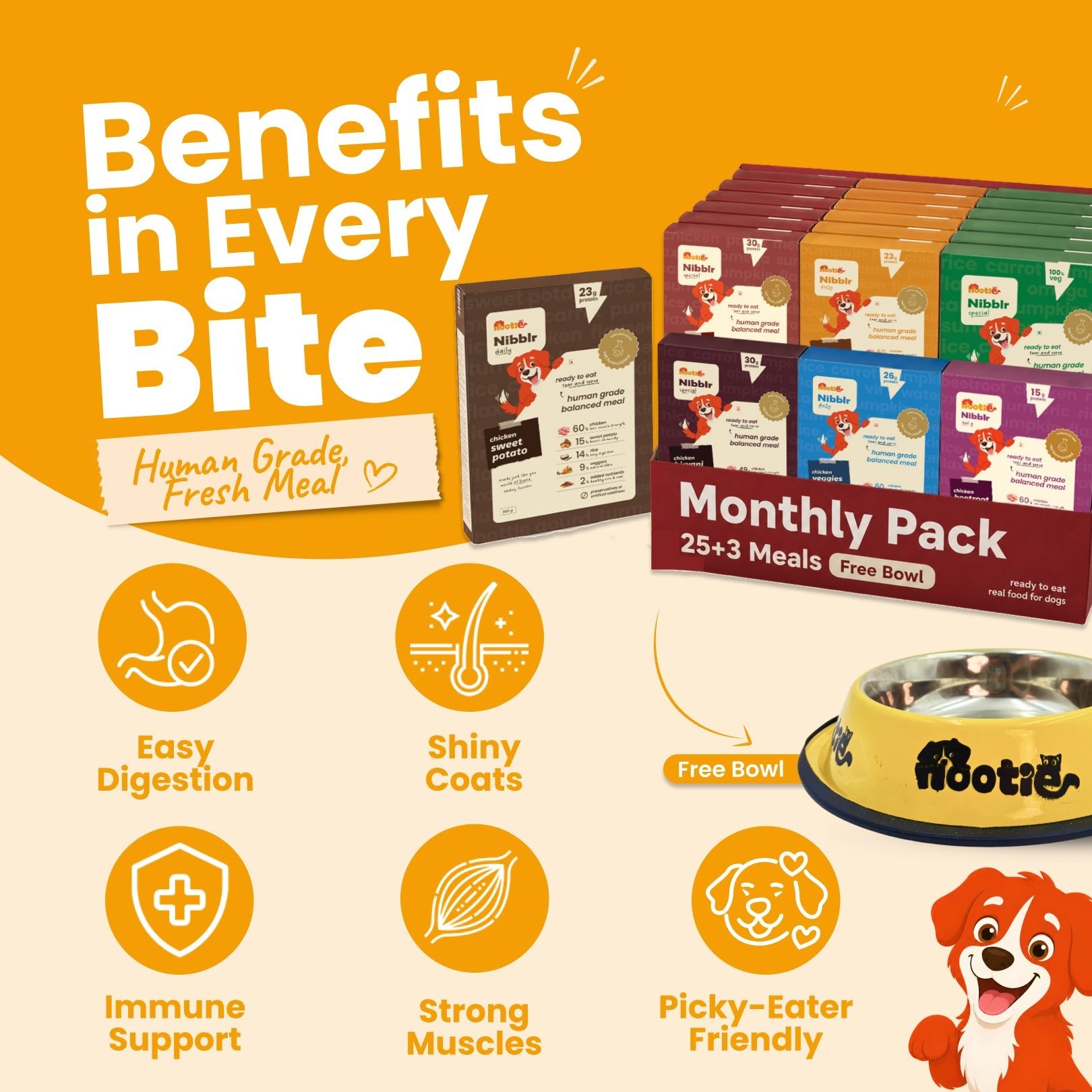 Monthly Pack - Nibblr Daily Power Feast for Dogs (25 x 300g) Free Yellow Bowl + 3 Extra Packs - nootie.in