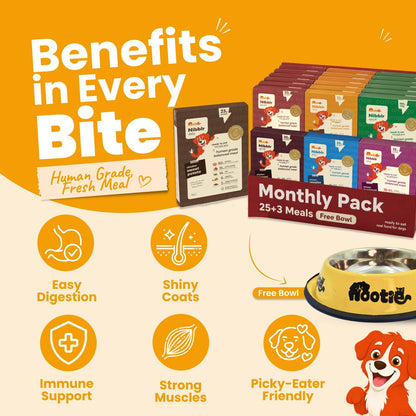 Monthly Pack - Nibblr Daily Power Feast for Dogs (25 x 300g) Free Yellow Bowl + 3 Extra Packs - nootie.in