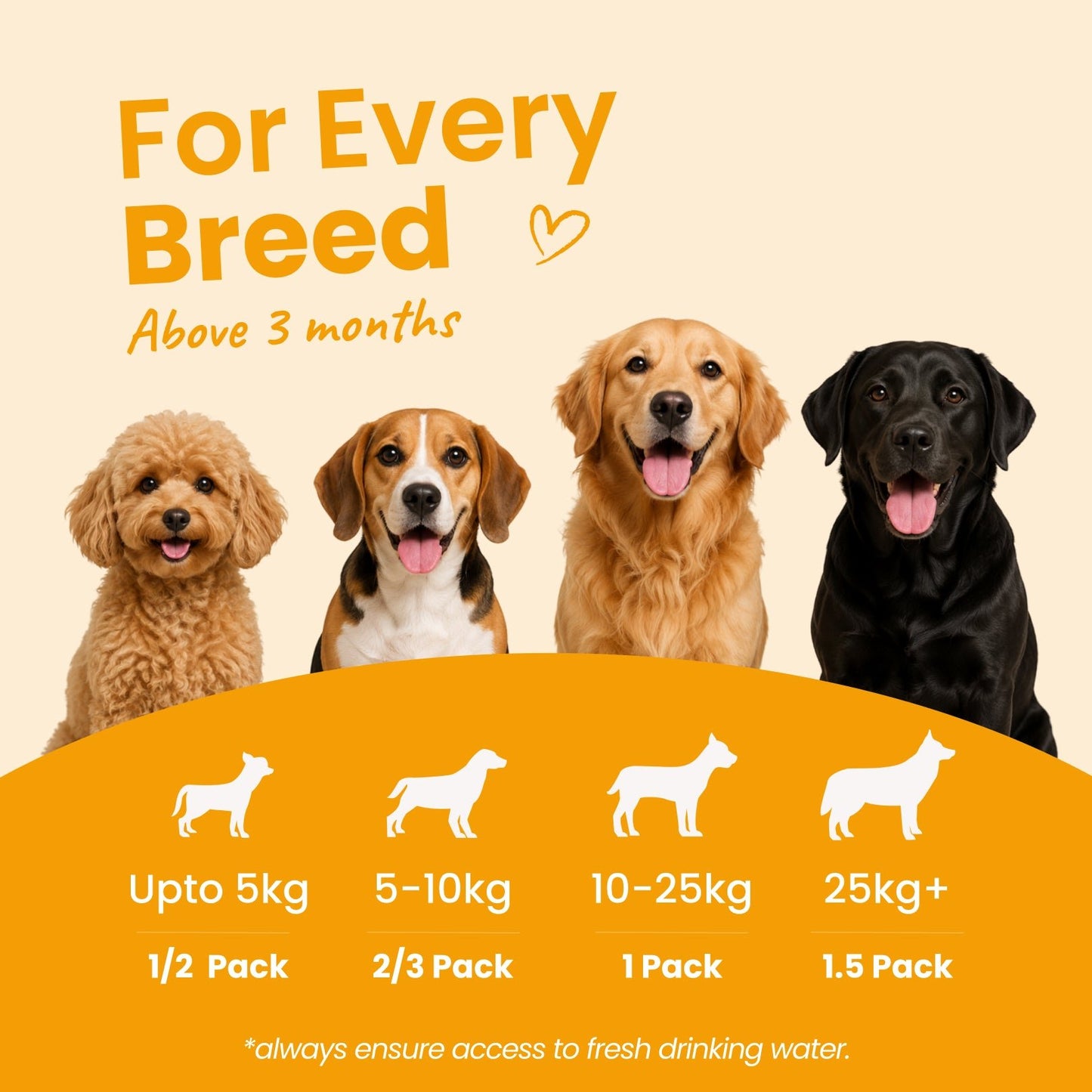Monthly Pack - Nibblr Daily Power Feast for Dogs (25 x 300g) Free Yellow Bowl + 3 Extra Packs - nootie.in