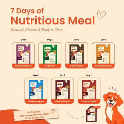 Nibblr 7-Day Assorted Trial Meal Box (7 Meals 100gm packs + Free Broth) - nootie.in
