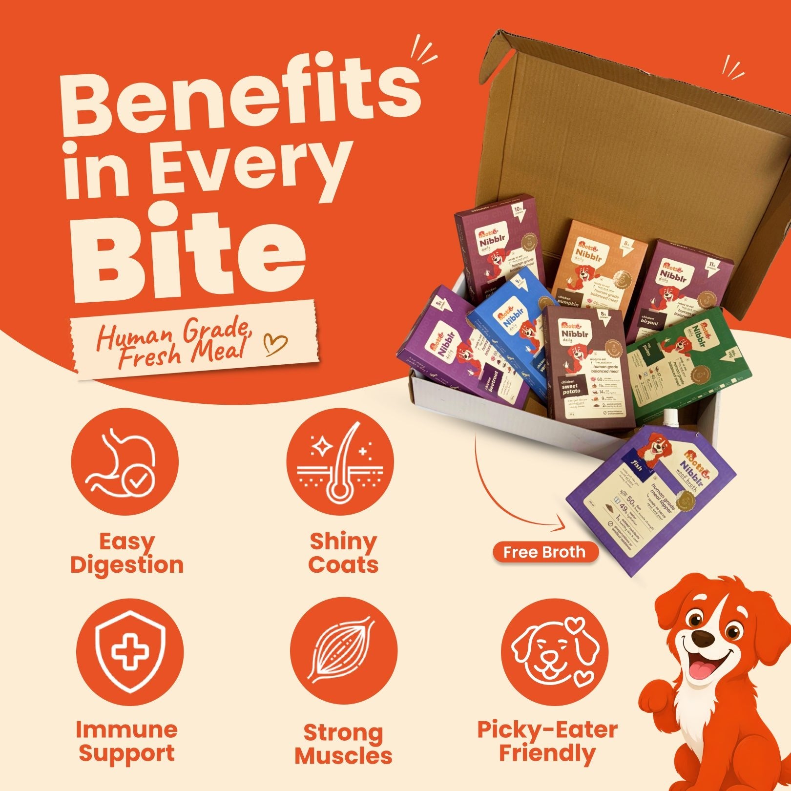 Nibblr 7-Day Assorted Trial Meal Box (7 Meals 100gm packs + Free Broth) - nootie.in