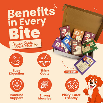 Nibblr 7-Day Assorted Trial Meal Box (7 Meals 100gm packs + Free Broth) - nootie.in