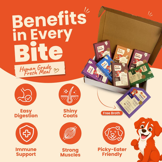 Nibblr 7-Day Assorted Trial Meal Box (7 Meals 100gm packs + Free Broth) - nootie.in