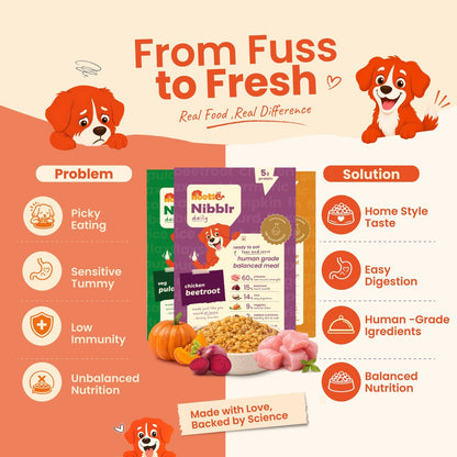 Nibblr 7-Day Assorted Trial Meal Box (7 Meals 100gm packs + Free Broth) - nootie.in