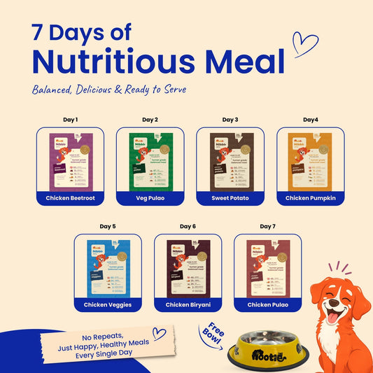 Nibblr 7-Day Assorted Weekly Wholesome Meal Box (7 Meals 300gm packs + Free Yellow Bowl) - nootie.in