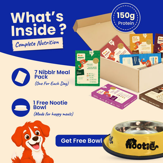 Nibblr 7-Day Assorted Weekly Wholesome Meal Box (7 Meals 300gm packs + Free Yellow Bowl) - nootie.in