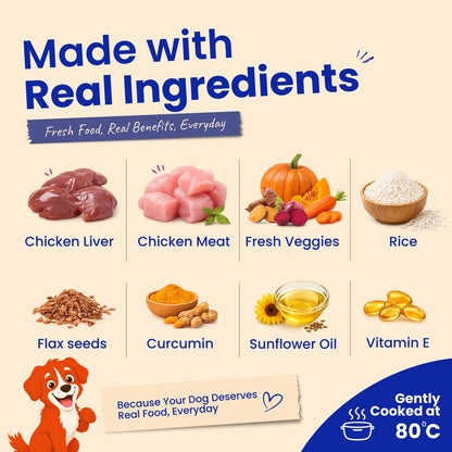 Nibblr 7-Day Assorted Weekly Wholesome Meal Box (7 Meals 300gm packs + Free Yellow Bowl) - nootie.in