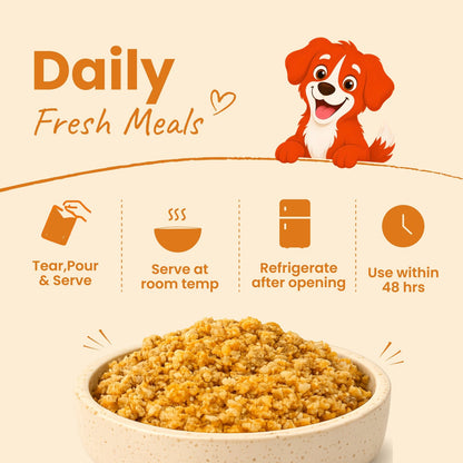 Nibblr Balance Bowl for Dogs (100g) | Chicken Liver and Pumpkin - nootie.in