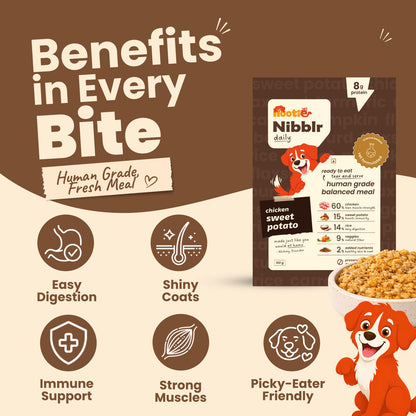 Nibblr Balance Bowl for Dogs (100g) | Chicken, Sweet Potato & Rice - nootie.in