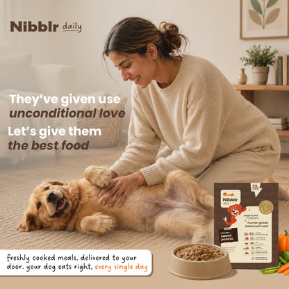Nibblr Balance Bowl for Dogs (100g) | Chicken, Sweet Potato & Rice - nootie.in