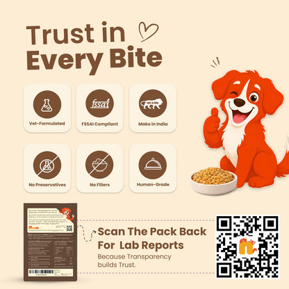 Nibblr Balance Bowl for Dogs (100g) | Chicken, Sweet Potato & Rice - nootie.in