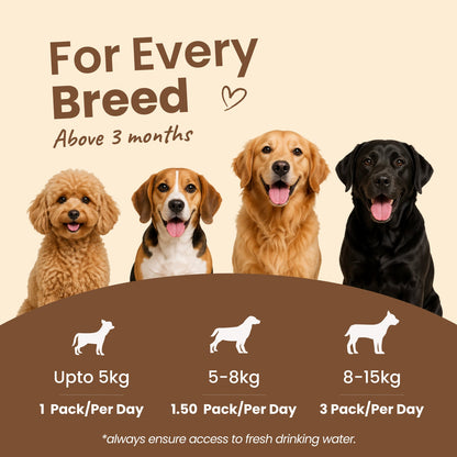 Nibblr Balance Bowl for Dogs (100g) | Chicken, Sweet Potato & Rice - nootie.in