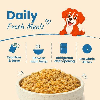 Nibblr Balance Bowl for Dogs (100g) | Chicken Veggie & Rice - nootie.in