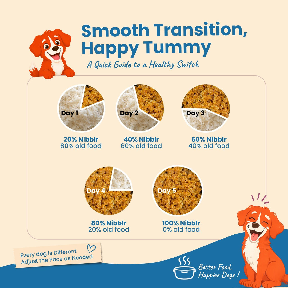Nibblr Balance Bowl for Dogs (100g) | Chicken Veggie & Rice - nootie.in