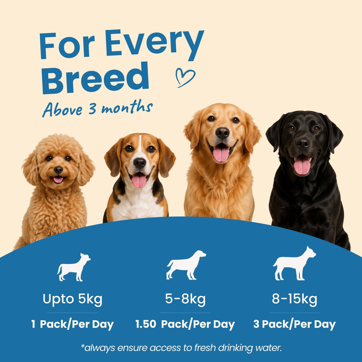 Nibblr Balance Bowl for Dogs (100g) | Chicken Veggie & Rice - nootie.in