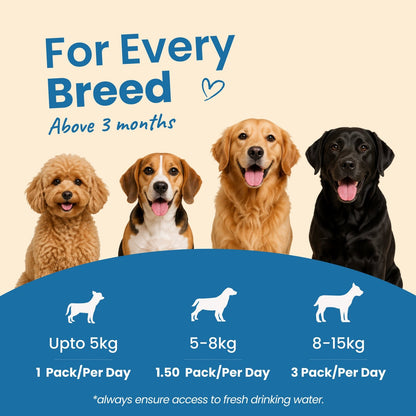 Nibblr Balance Bowl for Dogs (100g) | Chicken Veggie & Rice - nootie.in