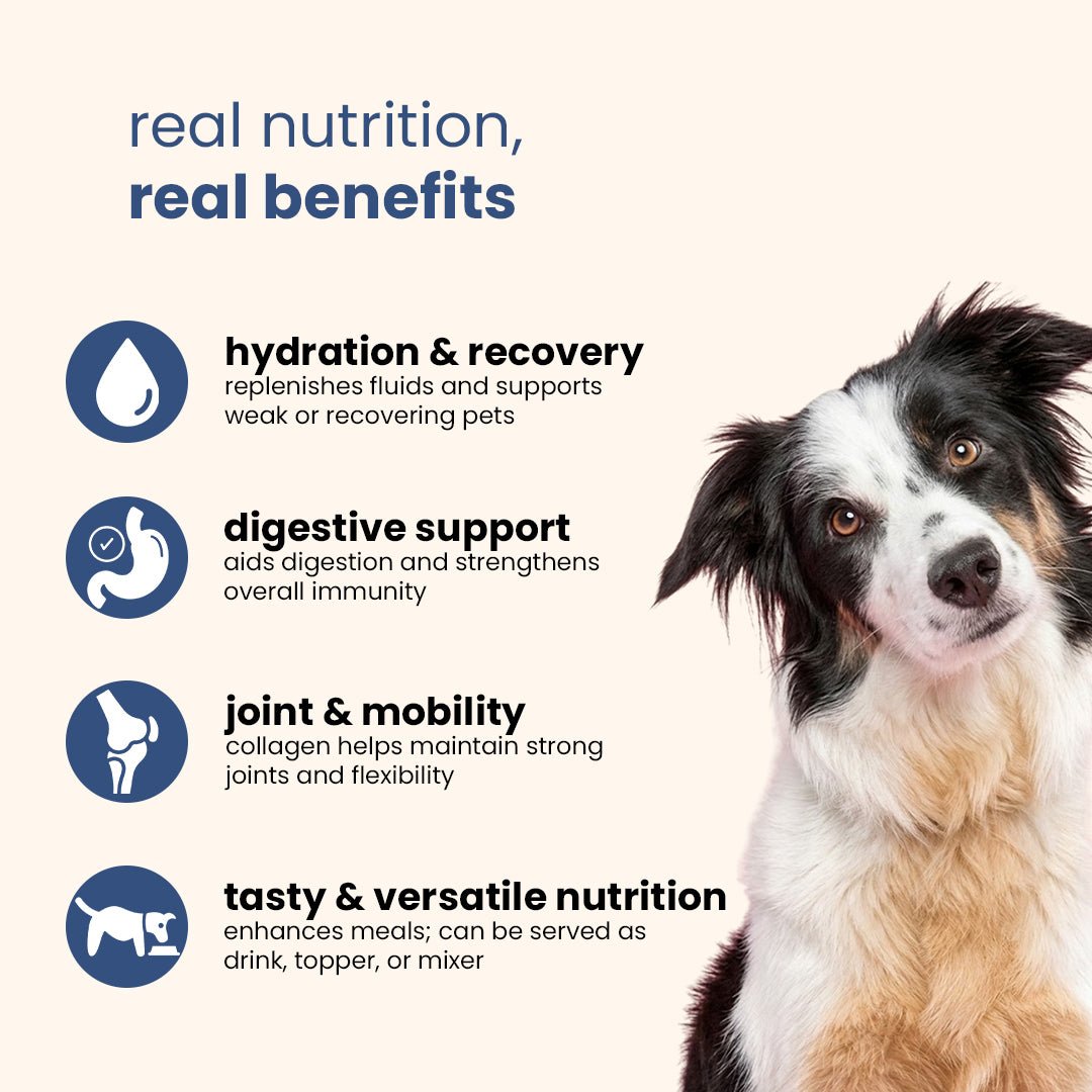 Nibblr Bone Broth Trial Pack Combo (100ml) - Hydrating Meal Topper for Dog - nootie.in