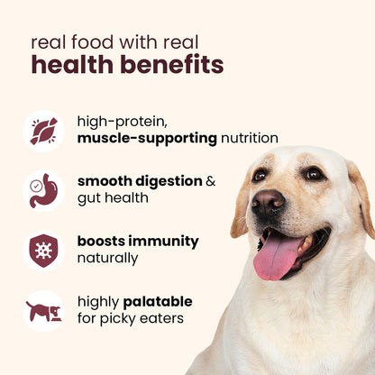 Nibblr Chicken Biryani (100g) – Fresh Wholesome Dog Meal - nootie.in
