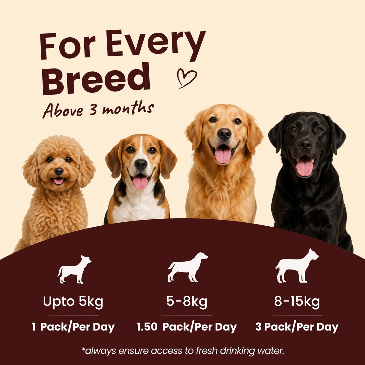 Nibblr Chicken Biryani (100g) – Fresh Wholesome Dog Meal - nootie.in