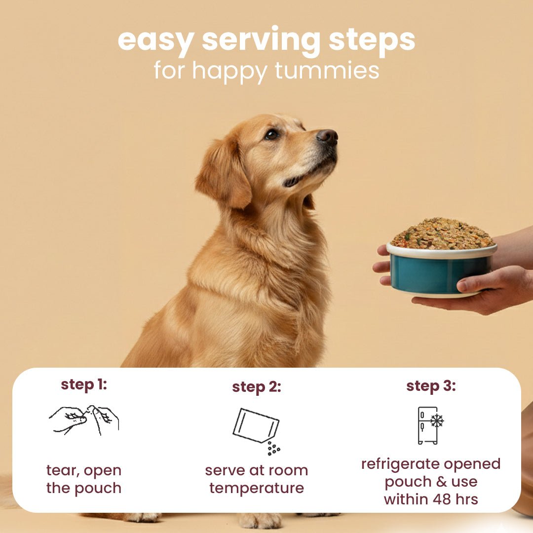 Nibblr Chicken Biryani (100g) – Fresh Wholesome Dog Meal - nootie.in